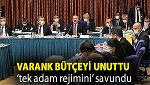 Varank bütçeyi unuttu ‘tek adam rejimini’ savundu