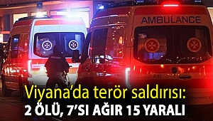 Viyana’da terör saldırısı: 2 ölü, 7’si ağır 15 yaralı