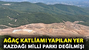Bakanlığa göre ağaç katliamı yapılan yer Kazdağı Milli Parkı değilmiş!