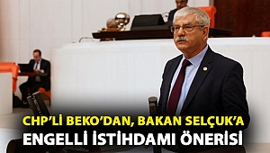 Beko’dan, Bakan Selçuk’a Engelli istihdamı önerisi