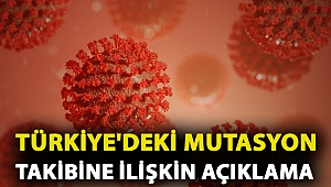 Bilim Kurulu Üyesi Kara: Ülkemizde tespit edilmiş mutasyon verisi yok