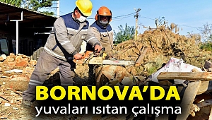 Bornova’da yuvaları ısıtan çalışma