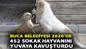 Buca Belediyesi 2020’de 452 sokak hayvanını yuvaya kavuşturdu