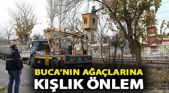 Buca’nın ağaçlarına kışlık önlem