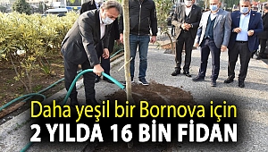 Daha yeşil bir Bornova için 2 yılda 16 bin fidan