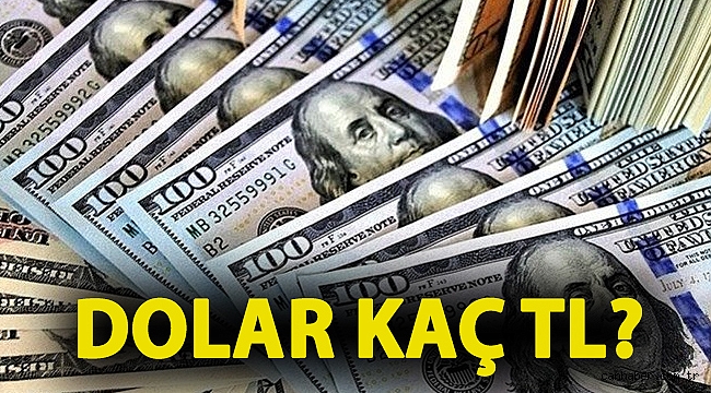 Dolar kaç TL? (29 Aralık 2020 dolar - euro fiyatları)