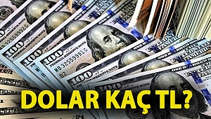 Dolar kaç TL? (29 Aralık 2020 dolar - euro fiyatları)