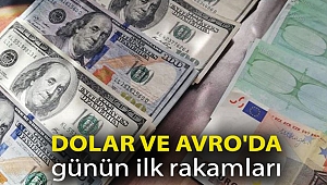 Dolar ve Avro'da günün ilk rakamları