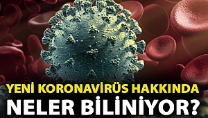 İngiltere'de mutasyona uğrayan yeni koronavirüs hakkında neler biliniyor?