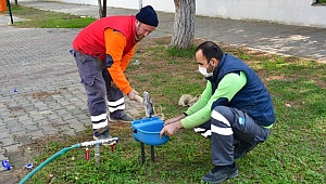 Narlıdere’de can dostlar için su kabı