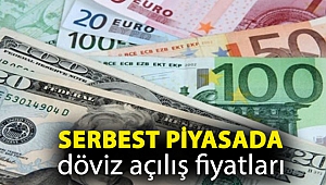 Serbest piyasada döviz açılış fiyatları