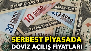 Serbest piyasada döviz açılış fiyatları