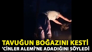 Tepki çeken görüntüler: Tavuğun boğazını kestikten sonra ateşe attı, 'cinler alemi'ne adadığını söyledi