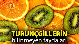 Turunçgillerin bilinmeyen faydaları