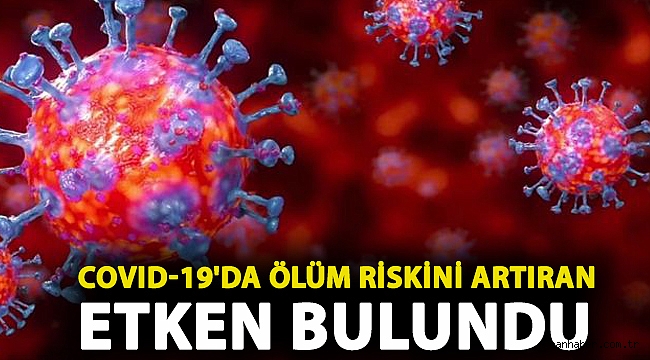 Araştırma: Covid-19'da ölüm riskini artıran etken bulundu