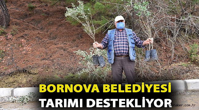 Bornova Belediyesi tarımı destekliyor
