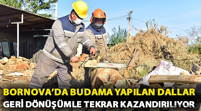 Bornova’da budama yapılan dallar geri dönüşümle tekrar kazandırılıyor