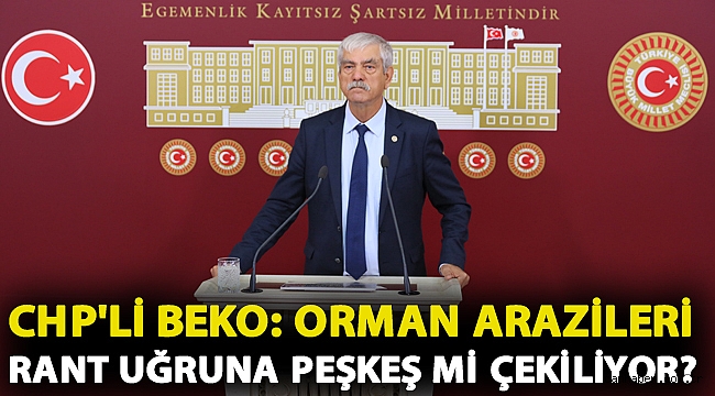 CHP'li Beko: Orman arazileri rant uğruna peşkeş mi çekiliyor?