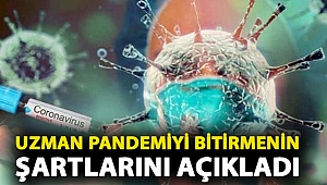 Prof. Dr. Ertuğrul: Eğer belirli bir aşı oranına ulaşırsak pandemiyi sonlandırabiliriz