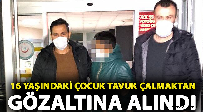 Sırtındaki çuvaldan 10 tavuk çıktı: 16 yaşındaki çocuk gözaltına alındı
