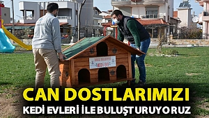 Can dostlarımızı kedi evleri ile buluşturuyoruz
