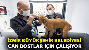 İzmir Büyükşehir Belediyesi can dostlar için çalışıyor