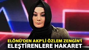 Star yazarı Esra Elönü'den AKP'li Özlem Zengin'i eleştirenlere hakaretler: 