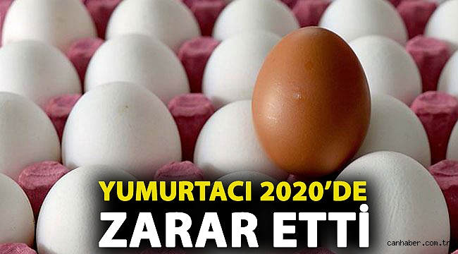Yumurtacı: 2020’de ‘resmen’ zarar ettik