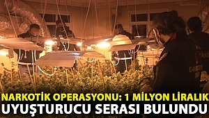 Avcılar’da narkotik operasyonu: 1 Milyon liralık uyuşturucu serası bulundu