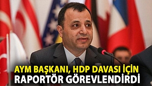 AYM Başkanı, HDP davası için raportör görevlendirdi