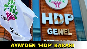 AYM'den 'HDP' kararı
