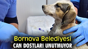 Bornova Belediyesi can dostları unutmuyor