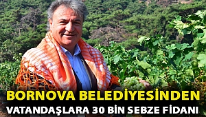 Bornova Belediyesinden vatandaşlara 30 bin sebze fidanı