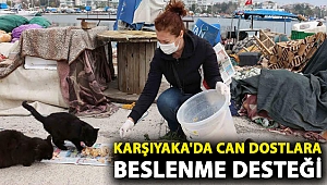 Can dostlara beslenme desteği