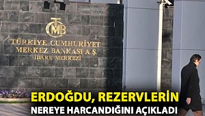 CHP'li Erdoğdu, Merkez Bankası rezervlerinin nereye harcandığını açıkladı