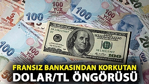 Fransız bankasından korkutan dolar/TL öngörüsü
