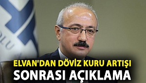 Hazine ve Maliye Bakanı Elvan'dan döviz kuru artışı sonrası açıklama: 