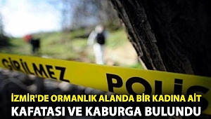 İzmir'de ormanlık alanda bir kadına ait kafatası ve kaburga bulundu