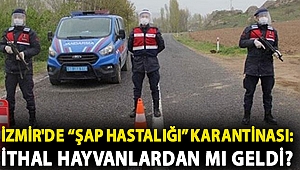 İzmir'de “şap hastalığı” karantinası: İthal hayvanlardan mı geldi?