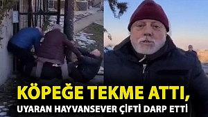 Köpeğe tekme attı, uyaran hayvansever çifti darp etti