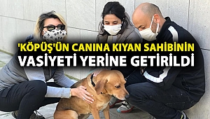 'Köpüş'ün canına kıyan sahibinin vasiyeti yerine getirildi