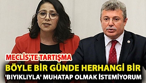 Meclis'te tartışma: Böyle bir günde herhangi bir 'bıyıklıyla' muhatap olmak istemiyorum