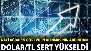 Merkez Bankası Başkanı Naci Ağbal'ın görevden alınmasının ardından dolar/TL sert yükseldi