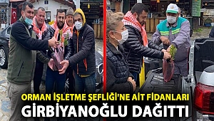 ORMAN İŞLETME ŞEFLİĞİ'NE AİT FİDANLARI GİRBİYANOĞLU DAĞITTI