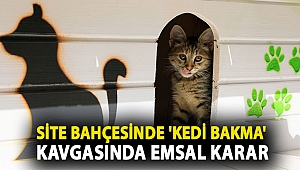 Site bahçesinde 'kedi bakma' kavgasında emsal karar