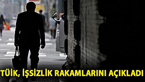 TÜİK, işsizlik rakamlarını açıkladı