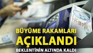 TÜİK: Türkiye ekonomisi 2020'de yüzde 1,8 büyüdü