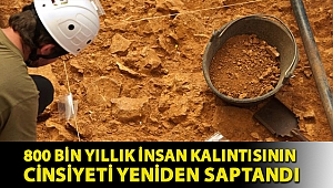 800 bin yıllık insan kalıntısının cinsiyeti yeniden saptandı