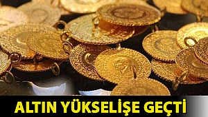 Altın yükselişe geçti