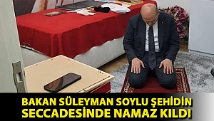Bakan Süleyman Soylu şehidin seccadesinde namaz kıldı